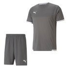 PUMA TeamLiga Training Set Gris Blanc