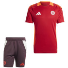 adidas Bayern Munich Ensemble Training 2024-2025 Rouge Bordeaux Blanc