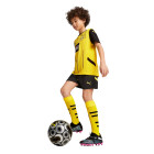 PUMA Borussia Dortmund Tenue Domicile 2024-2025 Enfants