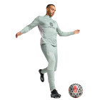 PUMA AC Milan Survêtement 1/4-Zip 2024-2025 Vert Gris Rose Clair