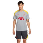 Nike Liverpool Strike Ensemble Training 2024-2025 Gris Gris Foncé Jaune Rouge