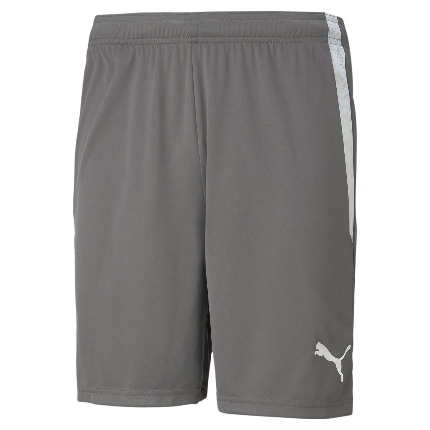 PUMA teamLIGA Short Football Gris Blanc