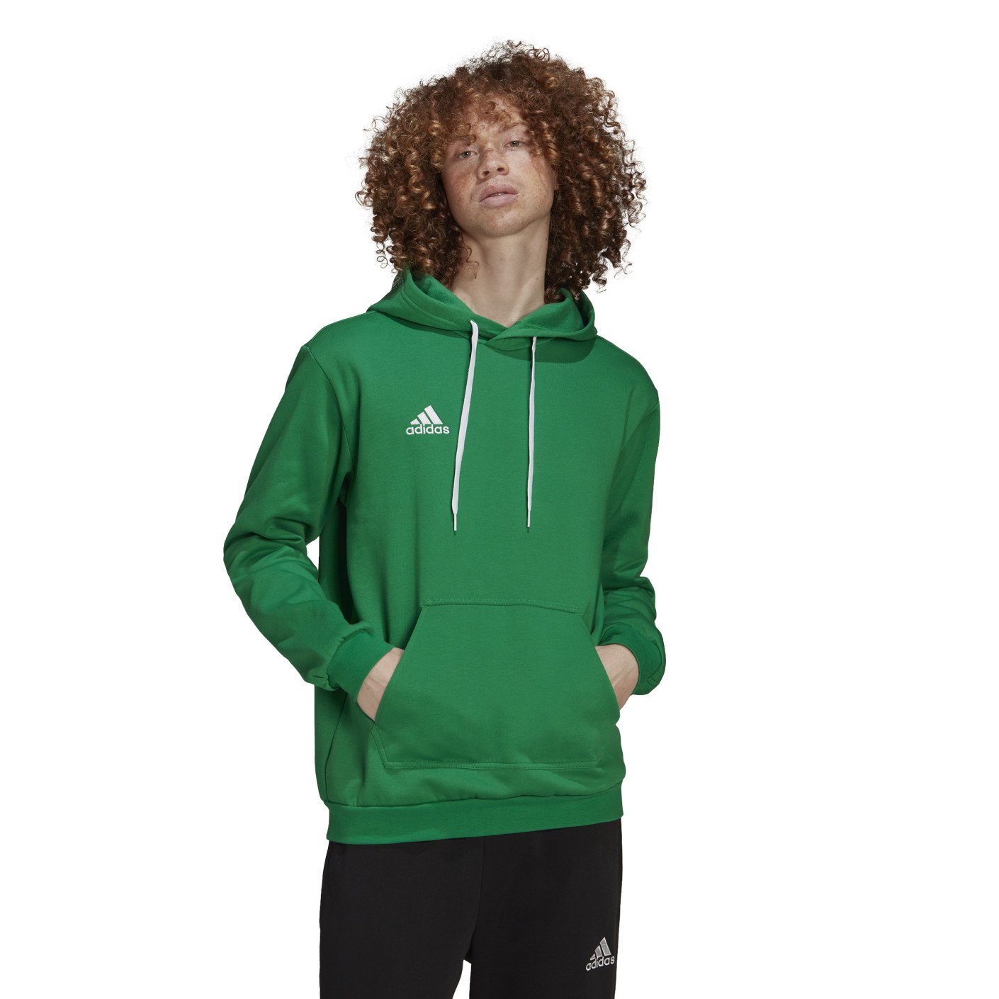 adidas Entrada 22 Sweat Sweat à Capuche Vert