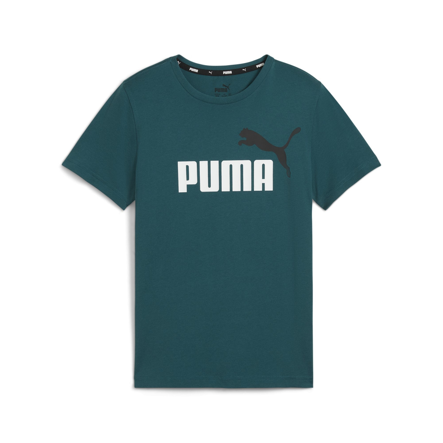 PUMA Essentials+ 2 College Logo T-Shirt Enfants Bleu-Vert Blanc Noir