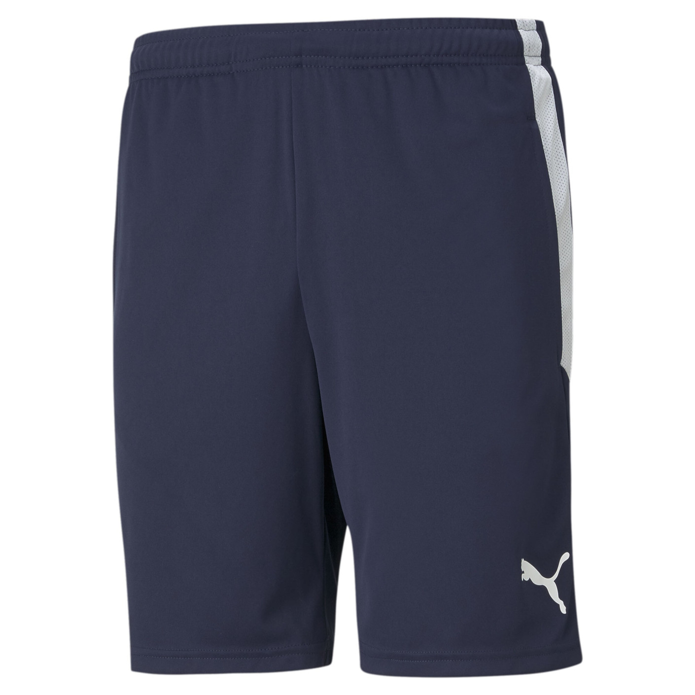 Pantalon d'entraînement PUMA TeamLiga bleu foncé blanc