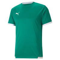 Ensemble d'entraînement PUMA TeamLiga Vert Blanc