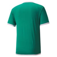 PUMA teamLIGA Voetbalshirt Groen Wit