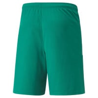 PUMA teamLIGA Short Football Vert Blanc