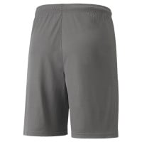 PUMA teamLIGA Short Football Gris Blanc