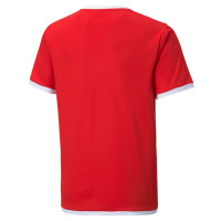 PUMA teamLIGA Trainingsset Kids Rood Wit