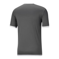 PUMA TeamLiga Training Set Gris Blanc