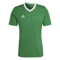 adidas Entrada 22 Maillot de Foot Vert Blanc