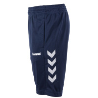 hummel Authentic Short d'Entraînement Bleu Foncé