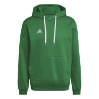 adidas Entrada 22 Sweat Sweat à Capuche Vert