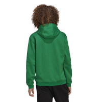 adidas Entrada 22 Sweat Sweat à Capuche Vert