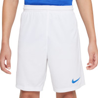 Nike Park III Voetbalbroekje Kids Wit Blauw