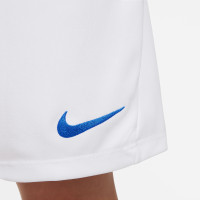 Nike Park III Voetbalbroekje Kids Wit Blauw