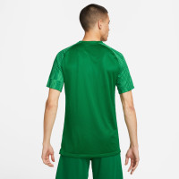 Chemise d'entraînement Nike Dri-Fit Academy vert blanc