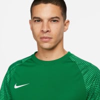 Chemise d'entraînement Nike Dri-Fit Academy vert blanc