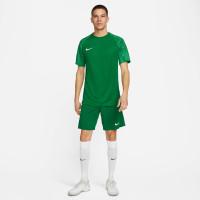 Chemise d'entraînement Nike Dri-Fit Academy vert blanc