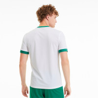 Maillot d'entraînement PUMA TeamGoal 23 blanc/vert