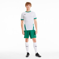 Maillot d'entraînement PUMA TeamGoal 23 blanc/vert