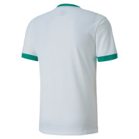 Maillot d'entraînement PUMA TeamGoal 23 blanc/vert