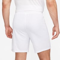 Nike Park III Short de Foot Blanc Bleu