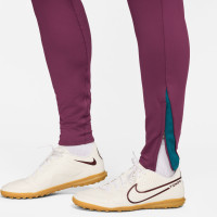 Nike Paris Saint Germain Strike Pantalon d'Entraînement 2024-2025 Mauve Blanc Vert Doré