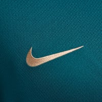 Nike Paris Saint-Germain Strike Maillot d'Entraînement 2024-2025 Vert Mauve Blanc Doré