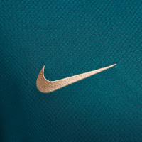 Nike Paris Saint-Germain Strike Maillot d'Entraînement 2024-2025 Vert Mauve Blanc Doré