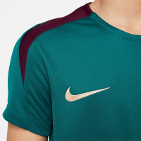 Nike Paris Saint-Germain Strike Maillot d'Entraînement 2024-2025 Enfants Vert Mauve Blanc Doré