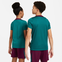 Nike Paris Saint-Germain Strike Maillot d'Entraînement 2024-2025 Enfants Vert Mauve Blanc Doré