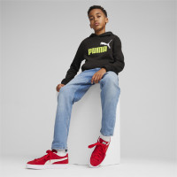 PUMA Essentials+ 2 College Big Logo Fleece Sweat à Capuche Enfants Noir Vert Clair Blanc