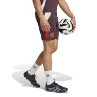 adidas Bayern Munich Short d'Entraînement 2024-2025 Bordeaux Rouge Blanc