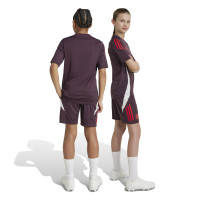 adidas Bayern Munich Short d'Entraînement 2024-2025 Enfants Bordeaux Rouge Blanc