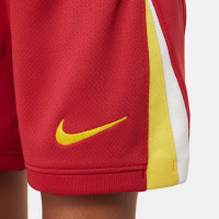 Nike Liverpool Minikit Thuis 2024-2025 Kleuters