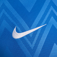 Nike Challenge V Maillot de Foot Bleu Blanc