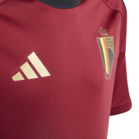 adidas Belgique Maillot Domicile Fans 2024-2026 Enfants