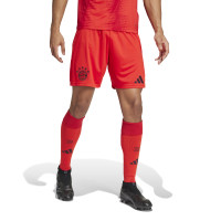 adidas Bayern Munich Short Domicile 2024-2025