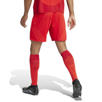 adidas Bayern Munich Short Domicile 2024-2025