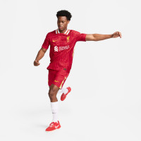 Nike Liverpool Thuisshirt Authentic 2024-2025