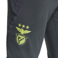 adidas Benfica Pantalon d'Entraînement 2024-2025 Gris Foncé