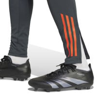 adidas Benfica Pantalon d'Entraînement 2024-2025 Gris Foncé