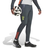 adidas Benfica Pantalon d'Entraînement 2024-2025 Gris Foncé