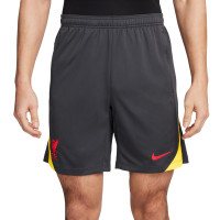 Nike Liverpool Strike Ensemble Training 2024-2025 Gris Gris Foncé Jaune Rouge