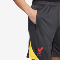 Nike Liverpool Strike Short d'Entraînement 2024-2025 Gris Foncé Jaune Rouge