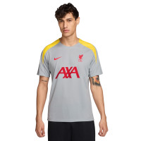 Nike Liverpool Strike Trainingsshirt 2024-2025 Grijs Geel Rood