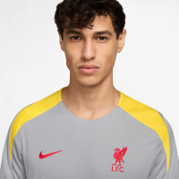 Nike Liverpool Strike Trainingsset 2024-2025 Grijs Donkergrijs Geel Rood