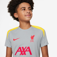 Nike Liverpool Strike Ensemble Training 2024-2025 Enfants Gris Gris Foncé Jaune Rouge